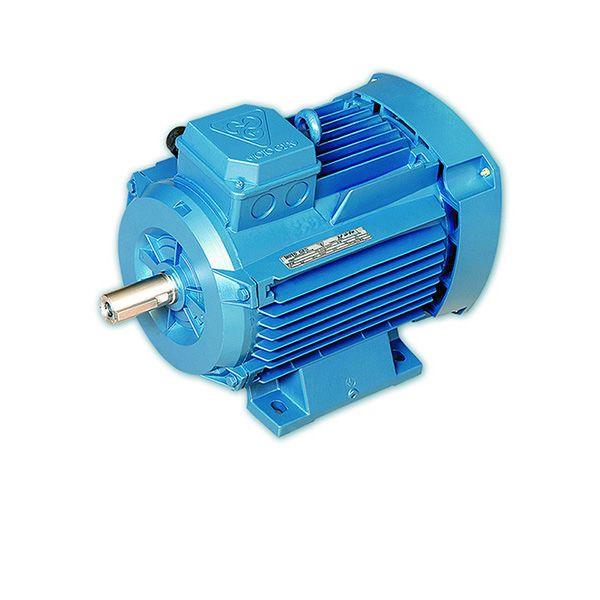 الکترو موتور موتوژن