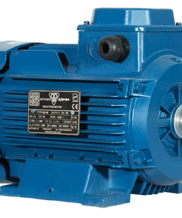 2 اسب 3000 دور